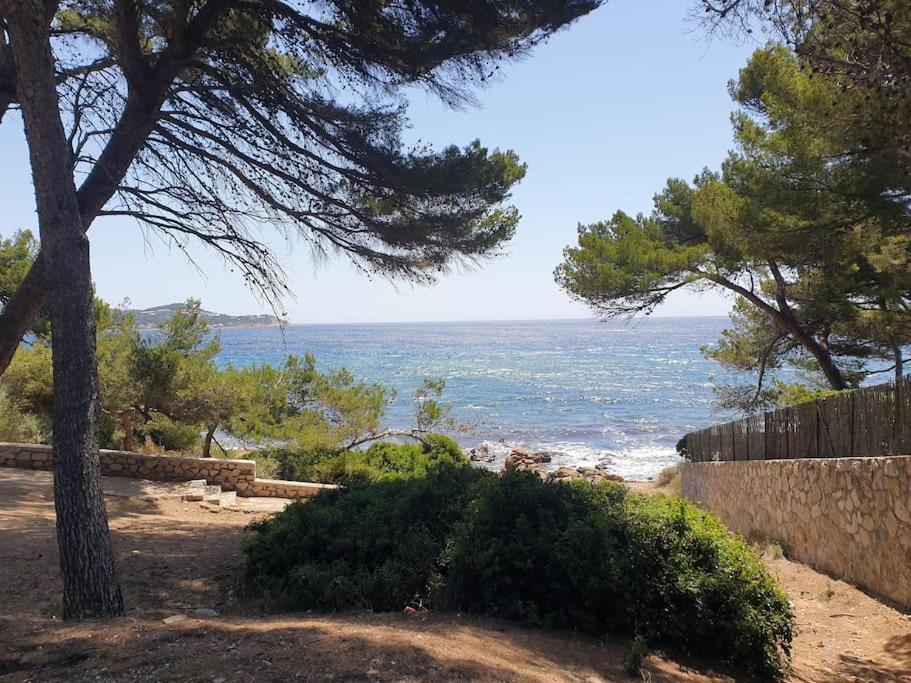 Les Geraniums, Bel Appartement Renove, Proche Plage Et Commerces Ла Сен-сюр-Мер Екстериор снимка